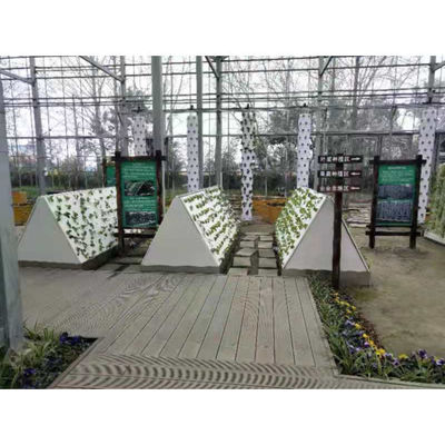 Aeroponia comercial Sistema hidropónico para o cultivo de vegetais em estufa