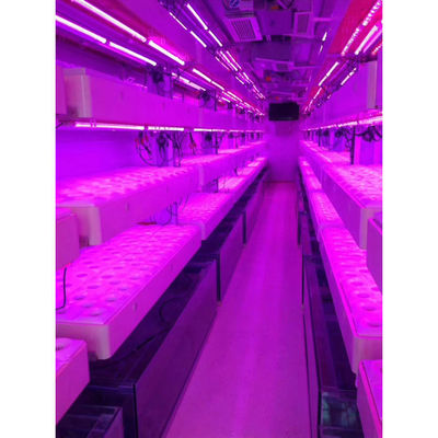 Sistema de cultivo hidropónico vertical de crescimento inteligente