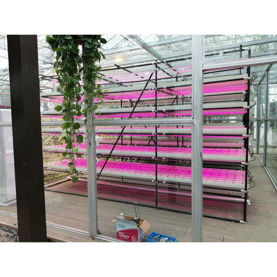 Agricultura em Estufas Fábrica vertical para a agricultura moderna