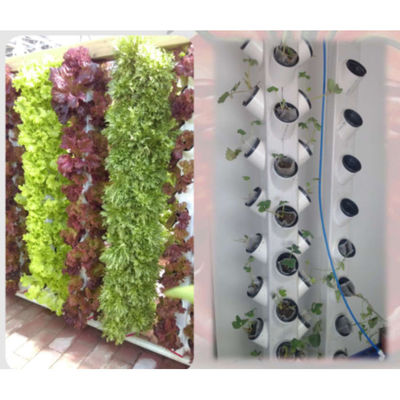 Sistema de cultivo hidropônico de novo estilo