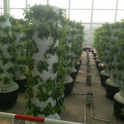 Sistema de cultivo hidropónico