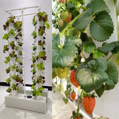 Hidroponia Inteligente Jardim Vertical Plantio de Ervas Plantas NFT Sistema de Cultivo