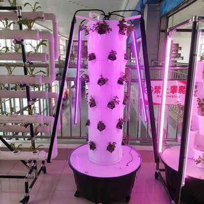Novo sistema de cultivo hidropônico vertical para vegetais e morangos com LED