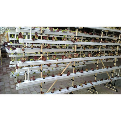 Novo sistema de estufa de hidroponia NFT com kit de cultivo de tubos de PVC para interiores e jardins