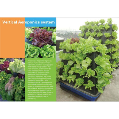 Aeroponia comercial Sistema hidropónico para o cultivo de vegetais em estufa