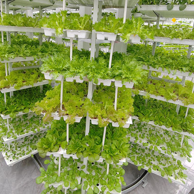 Agricultura vertical Planta pendente Agricultura hidropônica inteligente