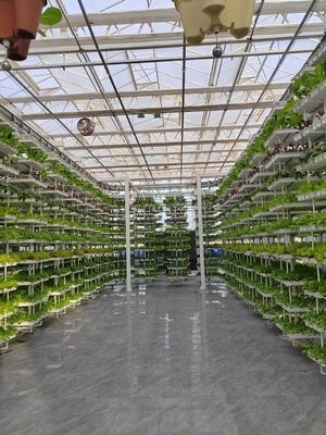 Agricultura vertical Planta pendente Agricultura hidropônica inteligente