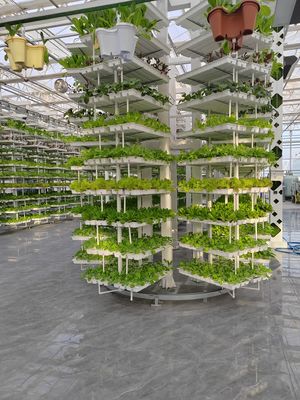 Agricultura vertical Planta pendente Agricultura hidropônica inteligente