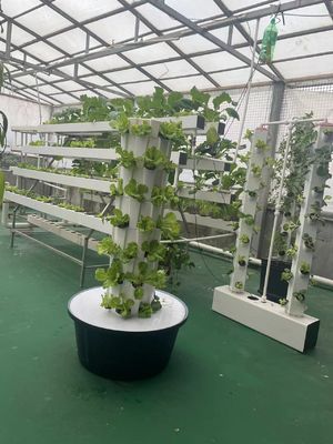 7P7 Torres de cultivo hidropónicas Sistema hidropónico de jardim vertical