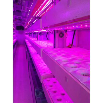 Sistema de cultivo hidropónico vertical de crescimento inteligente