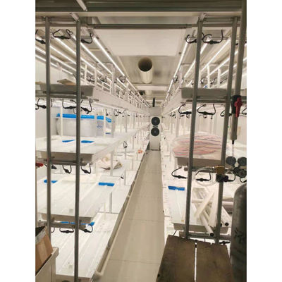 Sistema de cultivo hidropónico vertical de crescimento inteligente