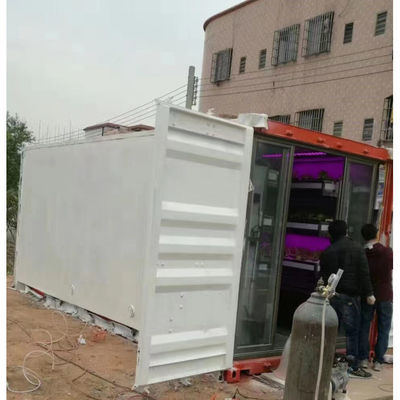 Sistema de cultivo hidropónico vertical de crescimento inteligente