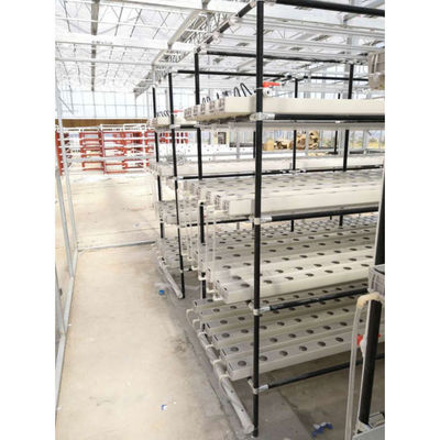 Agricultura em Estufas Fábrica vertical para a agricultura moderna