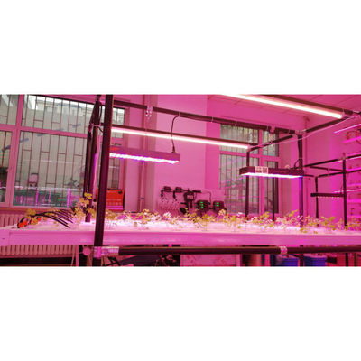Planta de cultivo vertical NFT Hidropônico Jardim inteligente Branco 110V/220VAC
