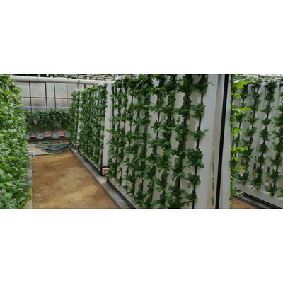 Sistemas de cultivo hidropônico em ambientes internos