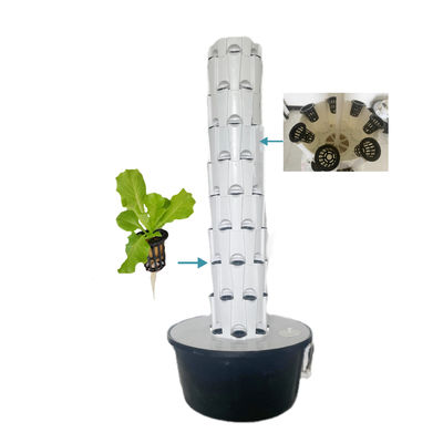 Sistema de cultivo hidropónico Equipamento de cultivo hidropónico controlado inteligente de estufa