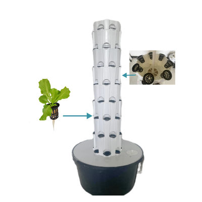 Balcão Aeropônica Torres de cultivo Hidropônica Sistemas de jardim verticais Sistemas hidropónicos de interior Plantação de abacaxi Tipo vertical