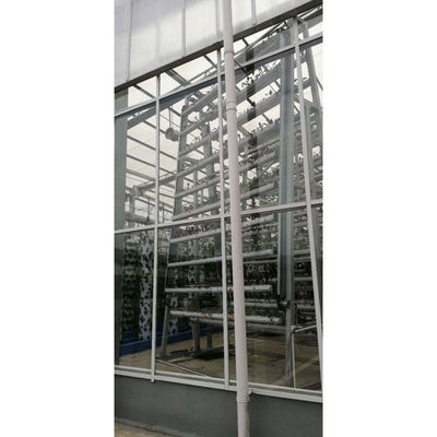 Irrigação e equipamento hidropónico Sistemas de cultivo hidropónico