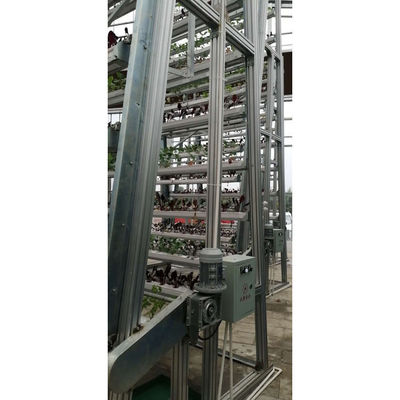 Irrigação e equipamento hidropónico Sistemas de cultivo hidropónico