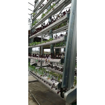 Irrigação e equipamento hidropónico Sistemas de cultivo hidropónico