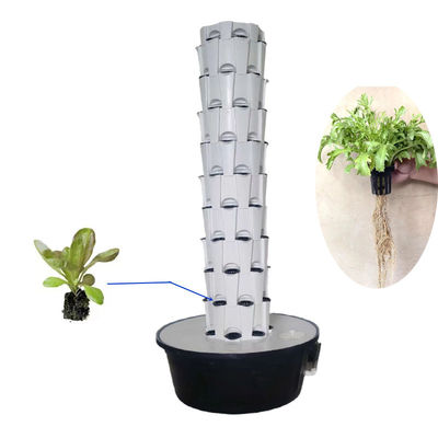 Indoor Outdoor Hydroponic Pineapple Tower Grow Systems Jardim Agricultura Culturas sem solo Torre de cultivo hidropônica vertical