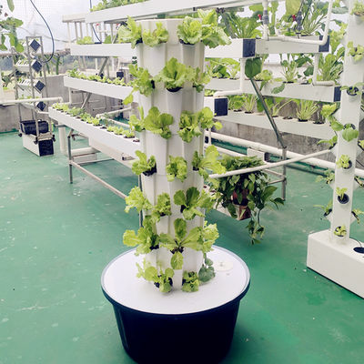 Indoor Outdoor Hydroponic Pineapple Tower Grow Systems Jardim Agricultura Culturas sem solo Torre de cultivo hidropônica vertical