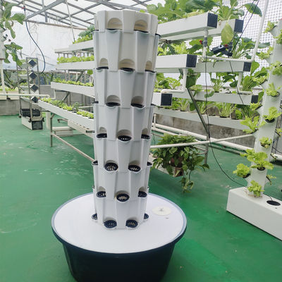 Indoor Outdoor Hydroponic Pineapple Tower Grow Systems Jardim Agricultura Culturas sem solo Torre de cultivo hidropônica vertical