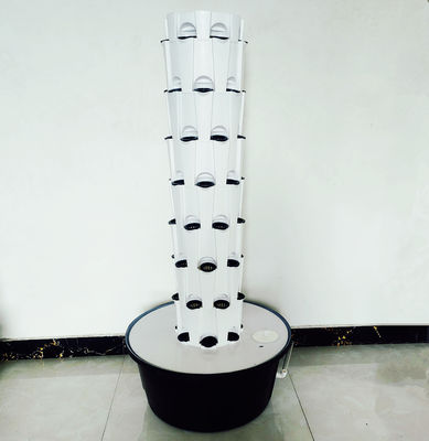 Indoor Outdoor Hydroponic Pineapple Tower Grow Systems Jardim Agricultura Culturas sem solo Torre de cultivo hidropônica vertical