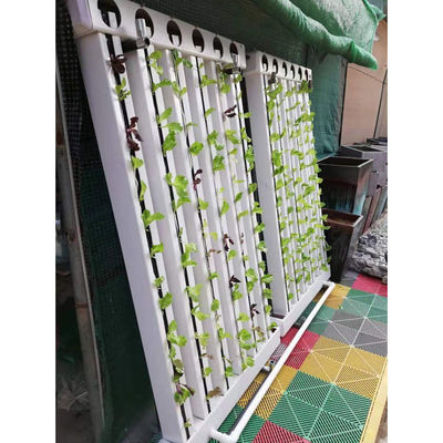 C-Growart Farm Sistema de cultivo hidropônico Cultivo sem solo para o crescimento das plantas