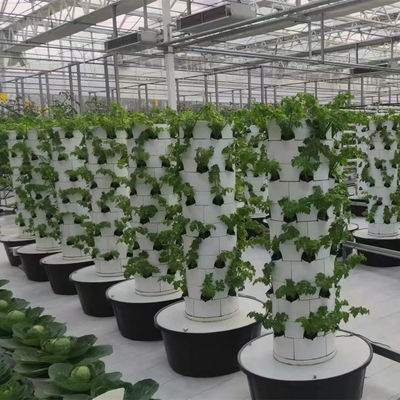 Sistema de cultivo hidropónico