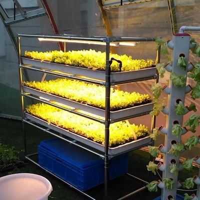 Tabelas de cultivo sob medida Tabelas de cultivo em estufa Tabelas de fluxo e refluxo