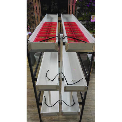 Sistema automático de forragem vertical de cevada