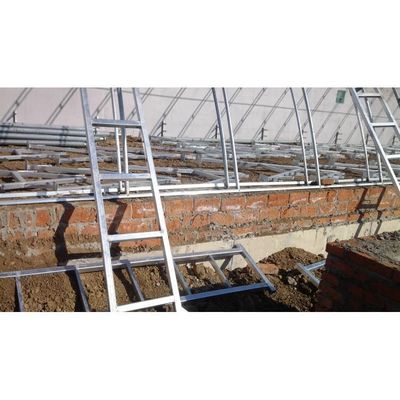 Equipamento de cogumelos Estufas para agricultura de vegetais com estrutura de aço
