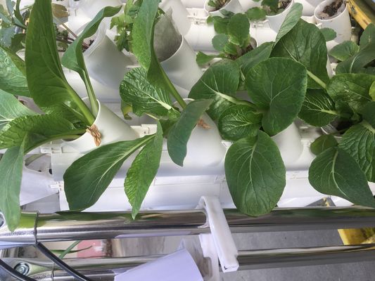 Cultivo sem solo ou cultivo de substrato Torre de plantação para jardinagem
