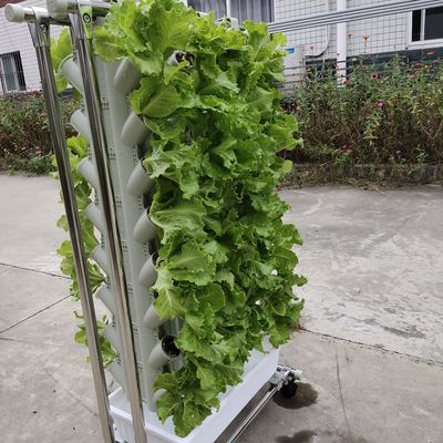 Cultivo sem solo ou cultivo de substrato Torre de plantação para jardinagem