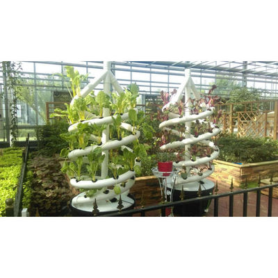 Cultivo sem solo Controle biológico Tubos hidropónicos de dupla hélice para interiores