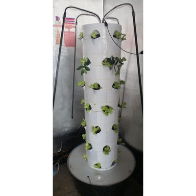 Sistema de cultivo hidropônico de vegetais e morangos com luz LED
