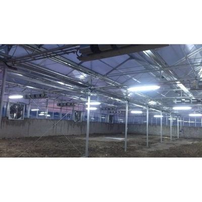 Agricultura de uma ou duas camadas Hidroponia de estufa com película de plástico