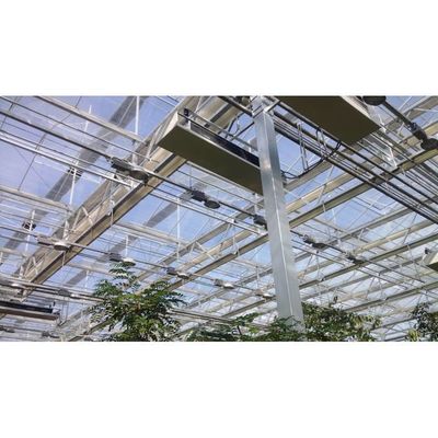 Agricultura de uma ou duas camadas Hidroponia de estufa com película de plástico