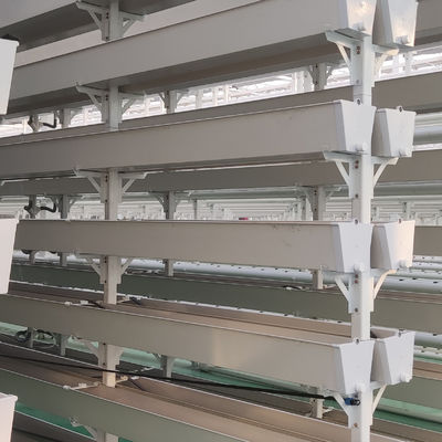 Plantação de frutas de qualidade alimentar em PVC