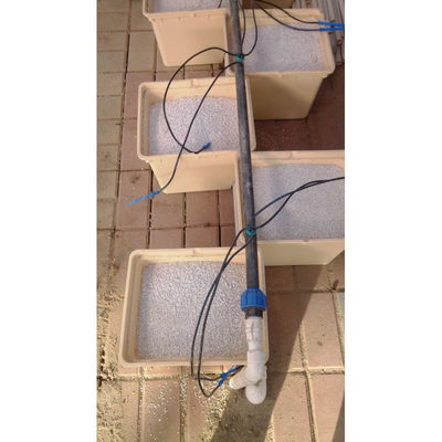 Caixa de cultivo em estufa Multi_span preta Dutch Bato Bucket Sistema hidropónico Dutch Bucket