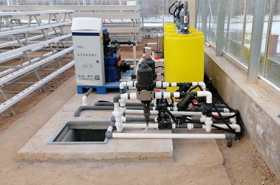 Plantação de frutas de qualidade alimentar em PVC