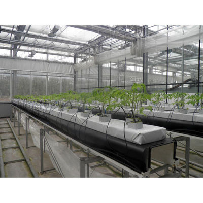 Equipamento de cultivo hidropónico de PVC de qualidade alimentar e de cultivo hidropónico de coco