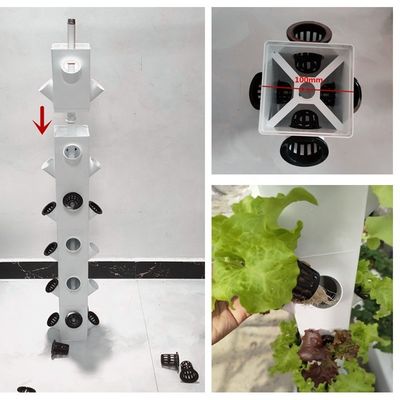 Hidroponia Inteligente Jardim Vertical Plantio de Ervas Plantas NFT Sistema de Cultivo