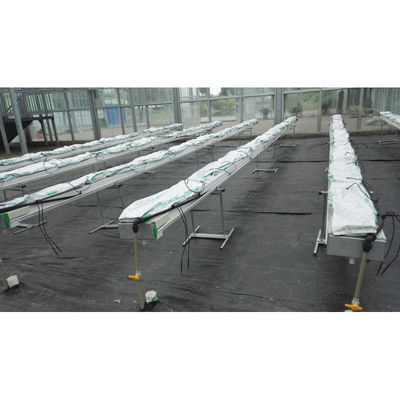 Equipamento de cultivo hidropónico de PVC de qualidade alimentar e de cultivo hidropónico de coco