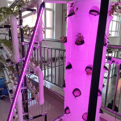 Novo sistema de cultivo hidropônico vertical para vegetais e morangos com LED