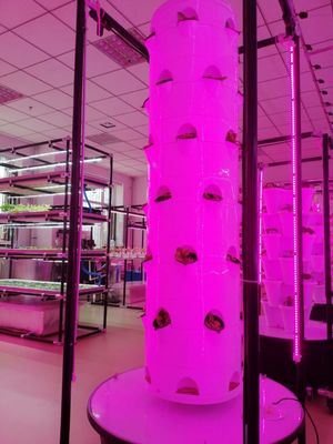 Novo sistema de cultivo hidropônico vertical para vegetais e morangos com LED