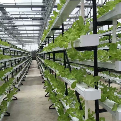 sistema de cultivo hidropónico comercial NFT estufa canal hidropónico NFT