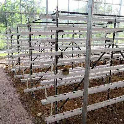sistema de cultivo hidropónico comercial NFT estufa canal hidropónico NFT