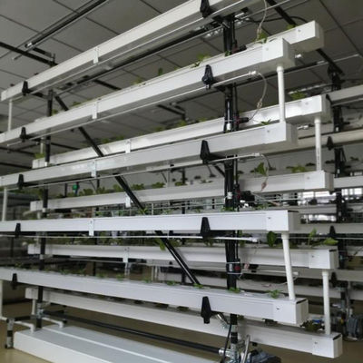 sistema de cultivo hidropónico comercial NFT estufa canal hidropónico NFT